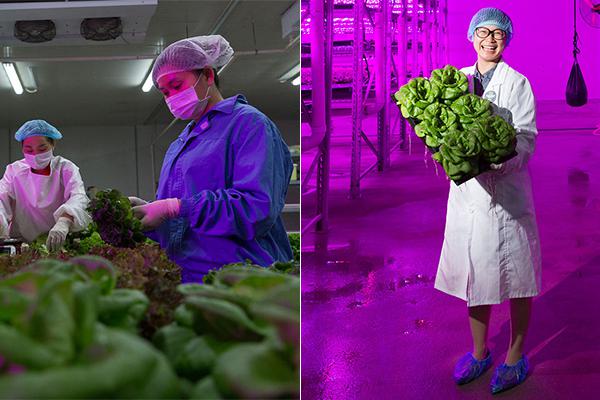 系統(tǒng)開發(fā) 運(yùn)維 數(shù)據(jù)計(jì)算_五個(gè)要素教你跑步不傷身