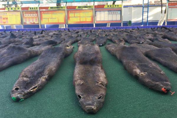 不是敵人，也不是朋友？美國新戰(zhàn)略重新定義中美關(guān)系