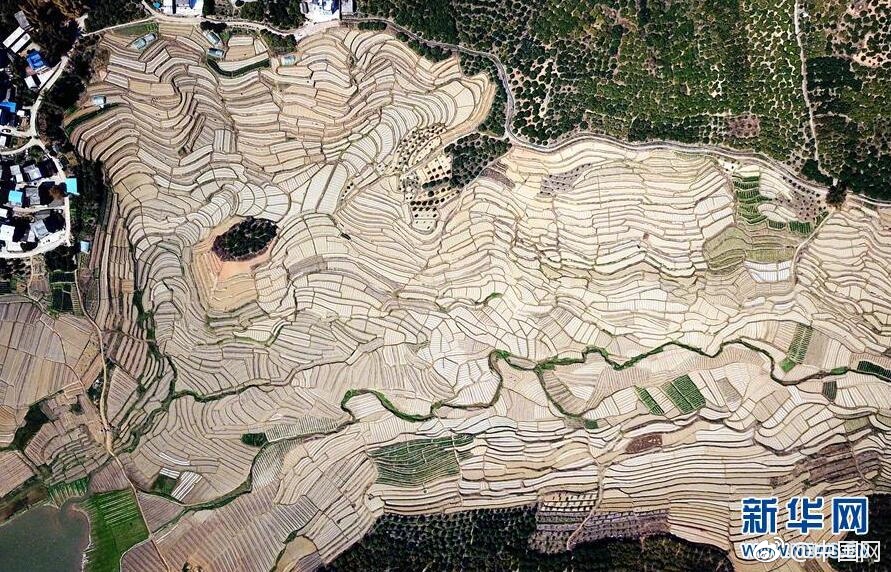 立冬以來最大規(guī)模雨雪上線