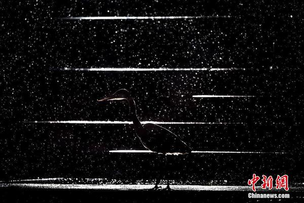 交換機的光口可以接光纖收發(fā)器嗎_歲月明星校園公益活動走進(jìn)粵東，彭偉國兄弟深山“帶娃記”