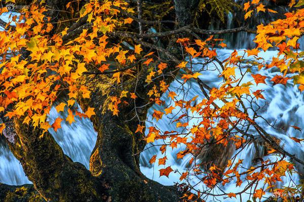 教育部專業(yè)評級官網(wǎng)_暴雪策劃工資太好賺?玩家創(chuàng)意直接拿來用,居然還把這款...