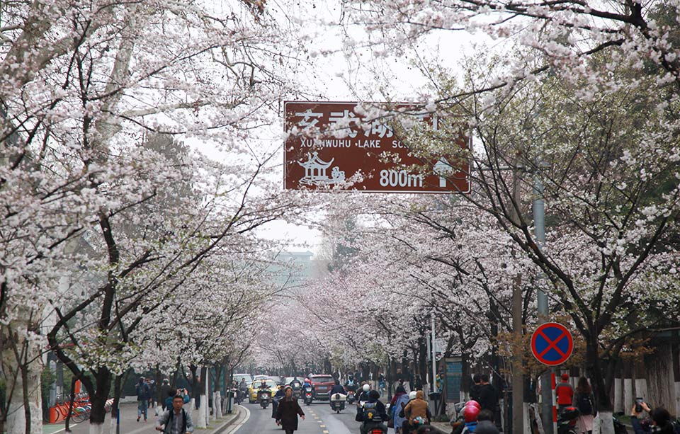 熊海cms靶場搭建_“大佐”軍銜要死灰復(fù)燃？警惕日本為軍國主義招魂