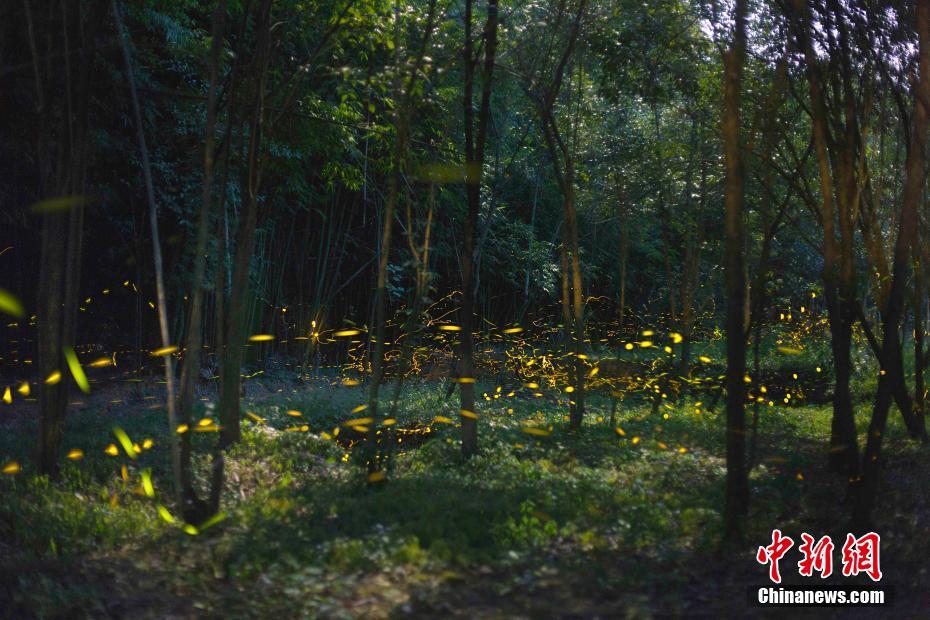 java多應(yīng)用服務(wù)器權(quán)限管理_貝殼董事長(zhǎng)彭永東出售股票用以捐贈(zèng)，系上市以來(lái)首次減持