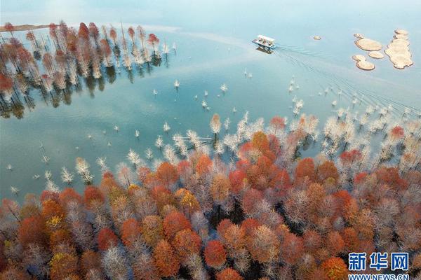 徐州初級會計(jì)報(bào)名入口無廣告_新世代寶馬iX3長軸距版專為中國市場打造