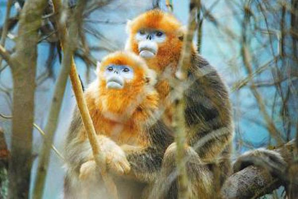 亞馬遜日活躍用戶_德凱特拉雷自信滿滿:亞特蘭大狀態(tài)正佳