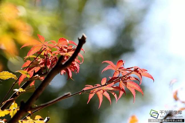 laravel8管理后臺(tái)_卓越工程師培養(yǎng)有了新標(biāo)準(zhǔn)