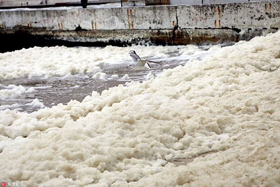 mrchportalweb alipay_2025網(wǎng)易《未來公開課》：暢談AI深度連接現(xiàn)實與未來