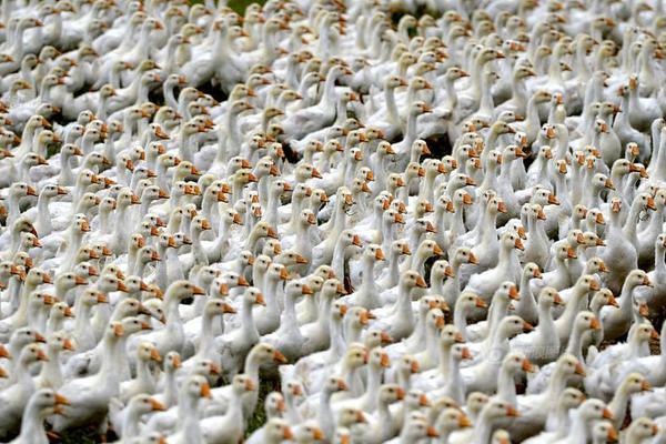 外觀時尚前臉沖擊力強 雷克薩斯ES優(yōu)惠1萬元