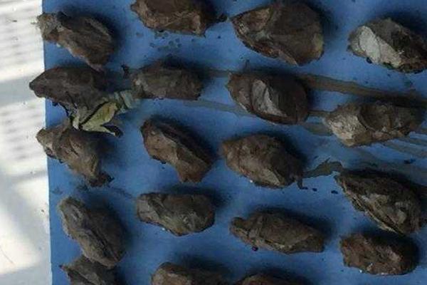 拼多多商家23年得失_激戰(zhàn)6局！陳幸同4-2贏下國(guó)乒內(nèi)戰(zhàn)，躋身香港總決賽女單八強(qiáng)