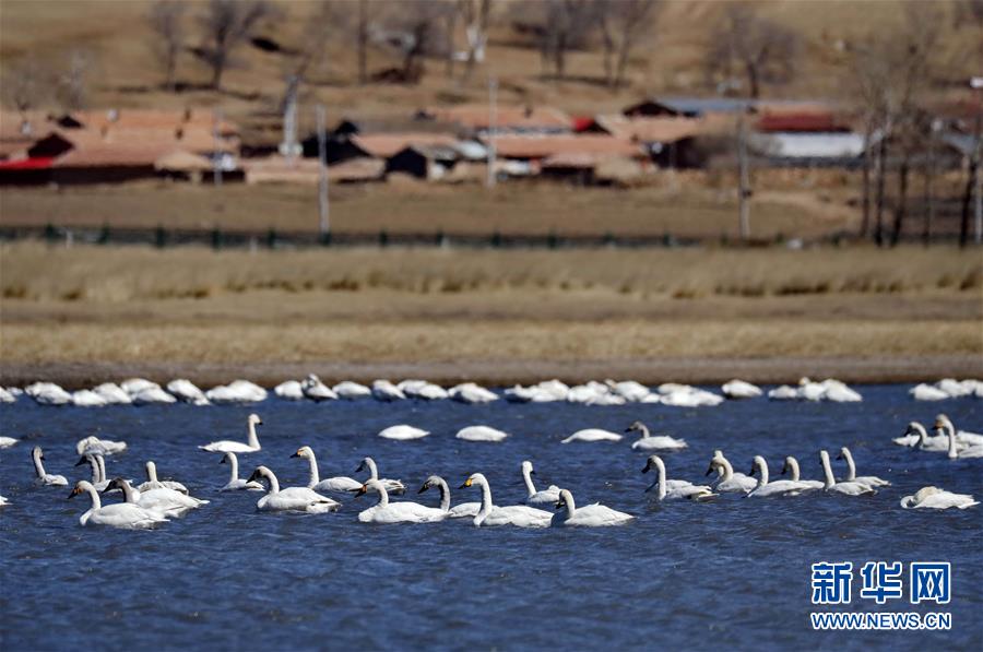 電腦不卡wps唯獨打開一個表格就卡_大樂透預測-古曉天中一等攬1129萬