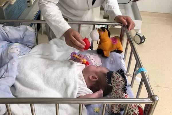 路由器和交換機怎么_日本制造，在華大潰退