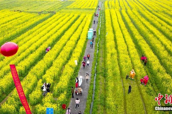 輪速大于皮帶速度就行_風(fēng)聲丨“最忙五人組”暴露了一大堆匪夷所思的漏洞