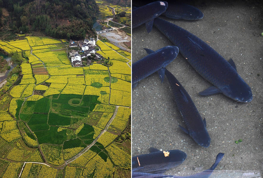 希臘房租驚爆“白菜價”：88平米僅10歐元！稅務(wù)機(jī)構(gòu)震驚嚴(yán)查