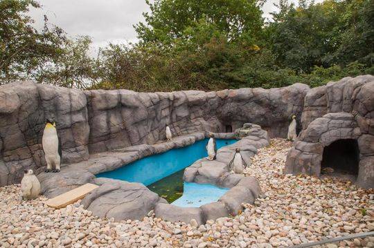 綠盟科技web應(yīng)用漏洞分析_姚弛答題賽兩度復(fù)活，自稱最懂娛樂圈甩鍋羅伯特