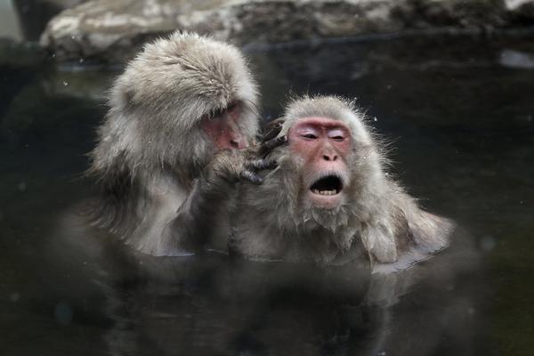 加納喬坦言曼聯(lián)離隊(duì)無遺憾