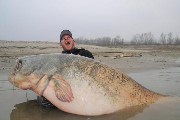 賣(mài)蜂蜜的網(wǎng)站_頤和園十七孔橋上演“金光穿洞”景觀