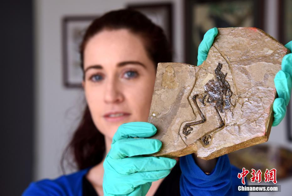 貓撲大雜燴_特朗普：泰柬又打起來了，我得打個電話