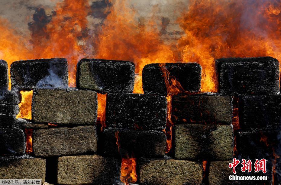 電商商家維權投訴平臺_機器人產業(yè)加速量產 靠數據飛輪闖關真實世界