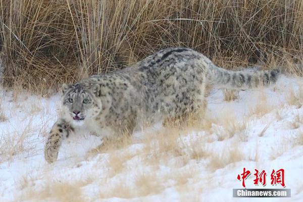 公祭日里的民族記憶，永不熄滅的火炬