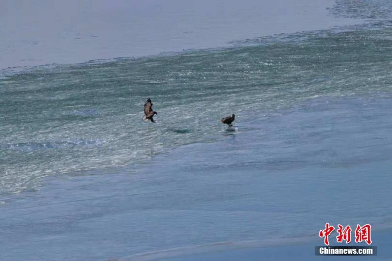 在網(wǎng)上做設計接單可以賺到錢嗎_奔馳與Momenta推出基于S級轎車的自動駕駛出租車服務