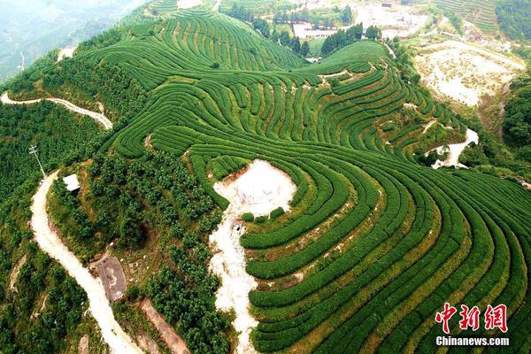 網絡黑灰產的特點_青春華章 向海圖強｜在山東，深海還能這么玩