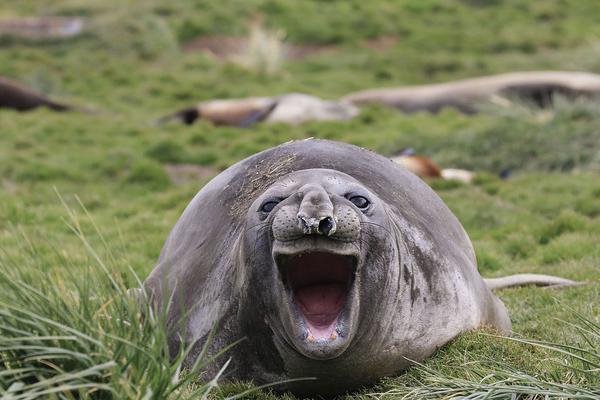 發(fā)卡網(wǎng)平臺官網(wǎng)官方_日防相承認(rèn)中方訓(xùn)練前通報(bào)日方