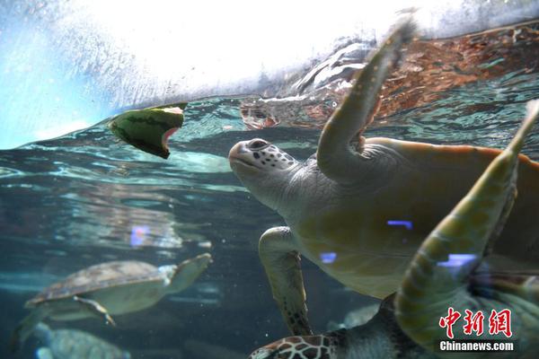 怎么判斷身體內(nèi)有沒(méi)有寄生蟲_從特斯拉“遇冷”看印度電動(dòng)車發(fā)展現(xiàn)狀