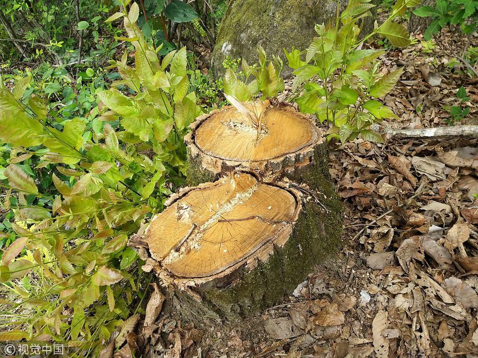 怎么往支付寶里面充錢_遼寧艦正常演訓(xùn) 日本為何炒作所謂“雷達照射”問題