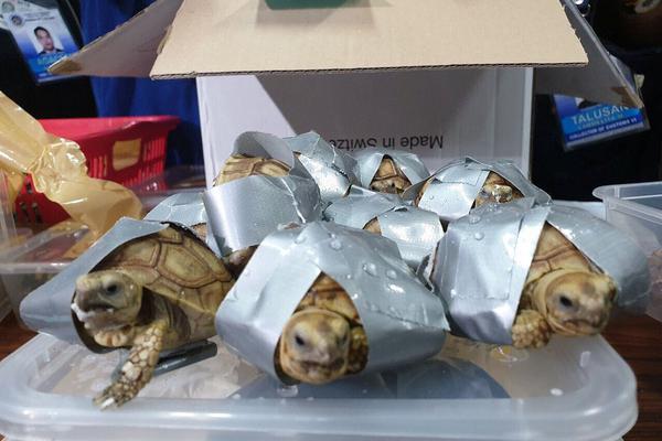 教育家精神萬(wàn)里行|寧丹:搖滾筑夢(mèng) 童心向陽(yáng)