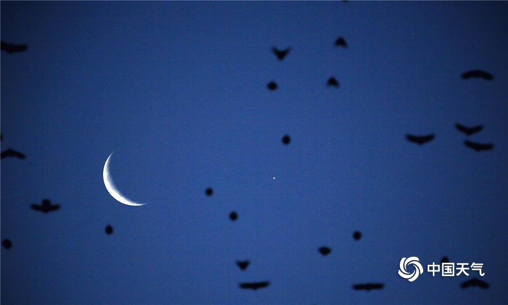 延緩大腦衰老比想的更簡單