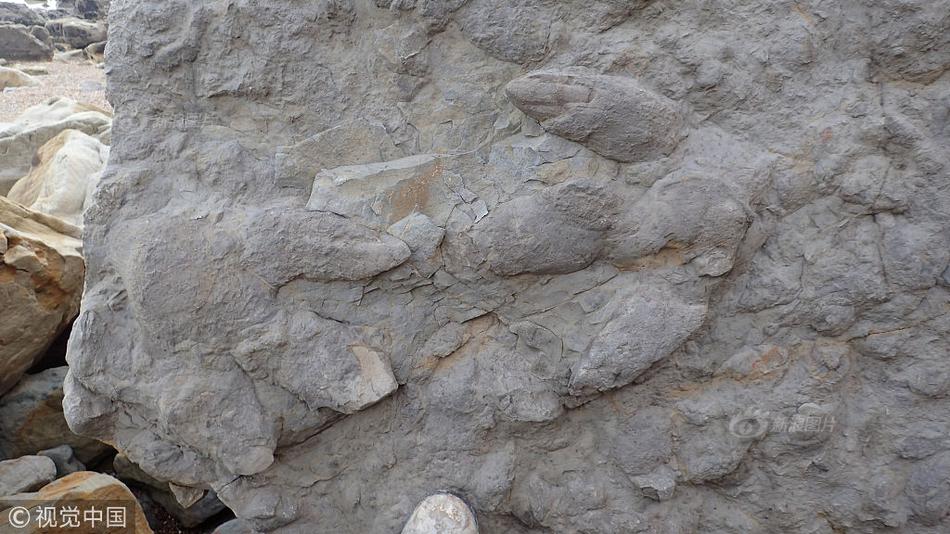 網(wǎng)頁(yè)網(wǎng)站網(wǎng)址之間的關(guān)系_甘肅肅南發(fā)現(xiàn)5處巖畫 文物局正在核實(shí)具體信息