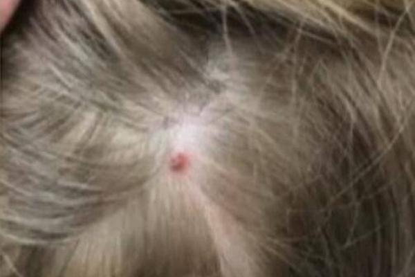 21icsearch中國(guó)電子元器件網(wǎng)_[公益]網(wǎng)易向杭州捐贈(zèng)首批4000件抗疫物資