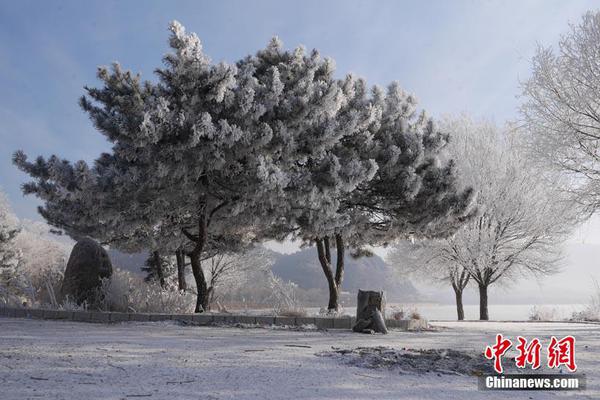 習(xí)言道｜做好經(jīng)濟(jì)工作，中央強(qiáng)調(diào)重要方法論