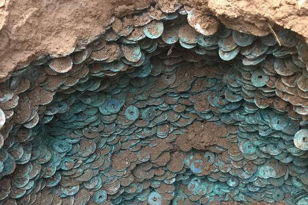 政務(wù)公開個人信息泄露的整改情況報_