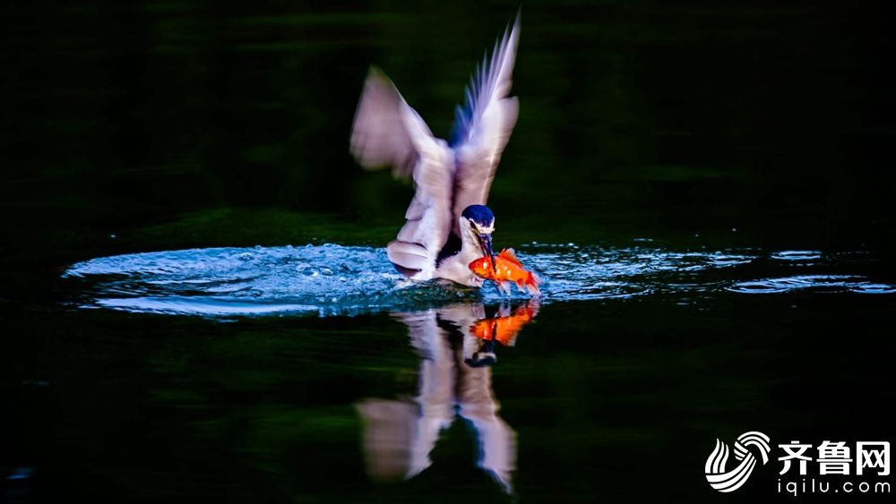 sql查看1天前的歷史信息_汽車行業(yè)波瀾壯闊，他們卻為何選擇逃離