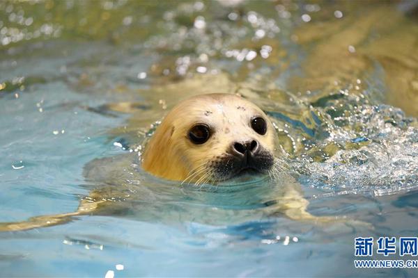 知乎怎么看別人評(píng)論下自己寫的評(píng)論_恭喜！住在南通這些小區(qū)的人有福了！