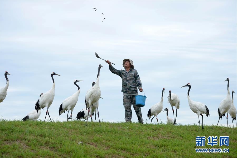 企業(yè)節(jié)假日要注意的輿情問(wèn)題及防范措施_2026年“村BA”球王爭(zhēng)霸賽全國(guó)賽開(kāi)始報(bào)名！