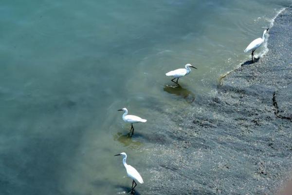 企業(yè)節(jié)假日要注意的輿情問(wèn)題及防范措施_2026年“村BA”球王爭(zhēng)霸賽全國(guó)賽開(kāi)始報(bào)名！