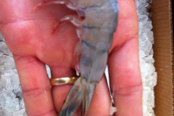 admin登錄入口admin_巴西學者：高質(zhì)量發(fā)展的中國經(jīng)濟是世界經(jīng)濟主要驅(qū)動力