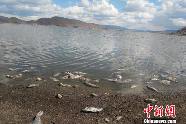 臺灣，禁不掉的小紅書