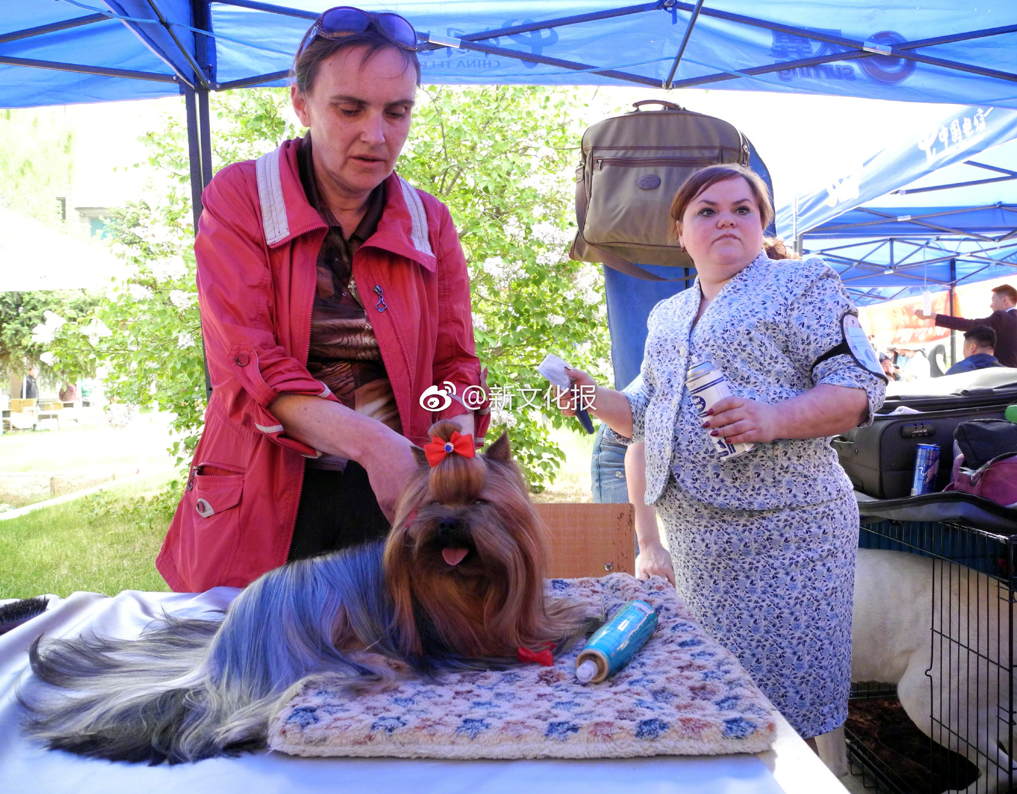 終結(jié)者遠(yuǎn)程控制_華為董事會首席秘書：任正非只有否決權(quán)，而非決定權(quán)