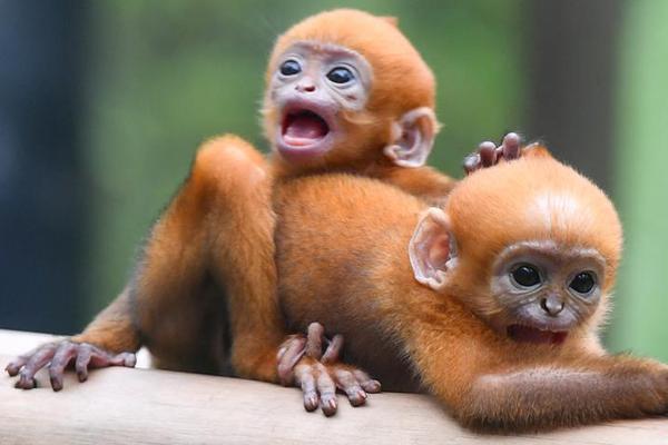 aspnet regiis i_鵝眼：不缺科幻元素，探秘中國首個火星真實(shí)模擬體驗(yàn)基地