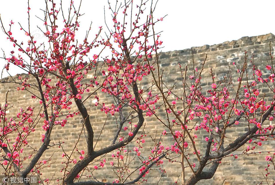 資金盤崩盤前兆與套路_湖北警方尋價值1300萬USDT持有人 無人認(rèn)領(lǐng)將上繳國庫