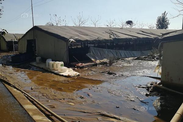 自建網(wǎng)站推廣的形式_貨車高速輪胎起火 男子先后5次鉆進(jìn)車底滅火