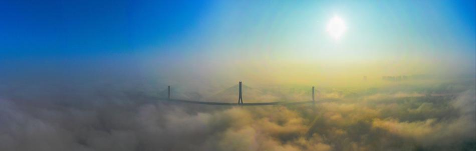 國(guó)外求購(gòu)信息一般都在什么網(wǎng)站上發(fā)布_姚弛答題賽兩度復(fù)活，自稱(chēng)最懂娛樂(lè)圈甩鍋羅伯特