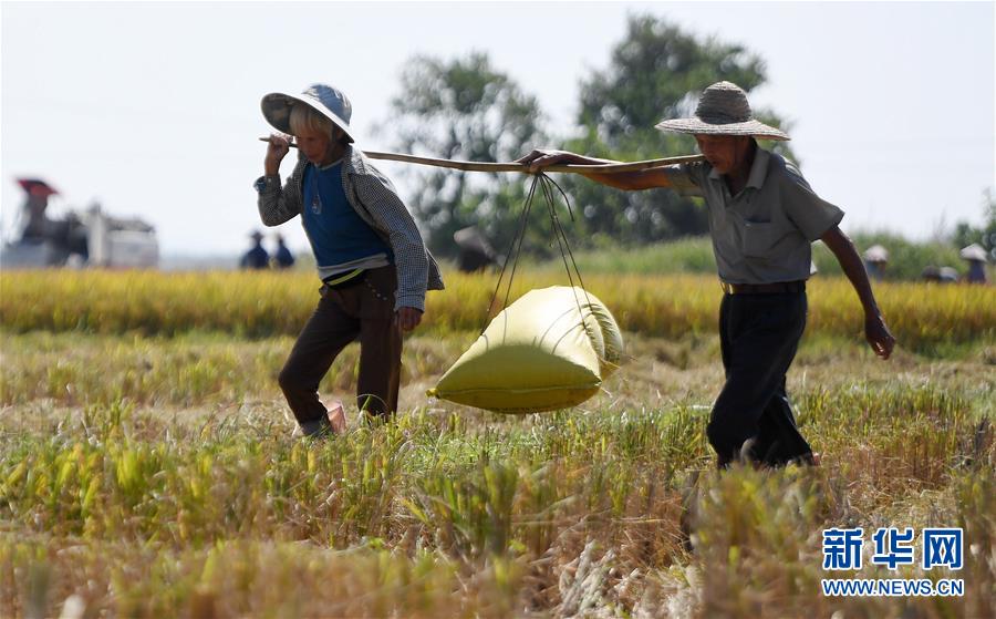 最靠譜的十大招聘軟件大揭秘_中國年輕人，已經(jīng)開始得糖尿病了
