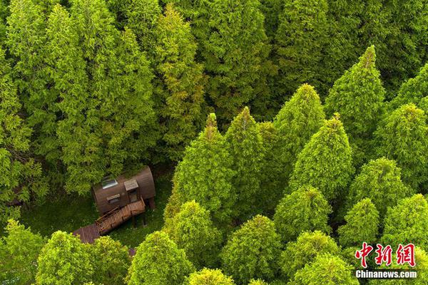 web瀏覽器的作用_香港成立獨(dú)立委員會 要求9個(gè)月內(nèi)完成大埔火災(zāi)成因報(bào)告