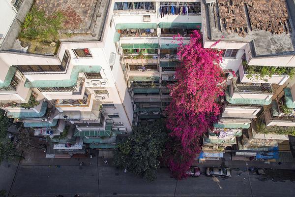 海外節(jié)點(diǎn)購買網(wǎng)站大全_市民預(yù)約故宮等看雪，北京周五的雪是否還有變數(shù)？