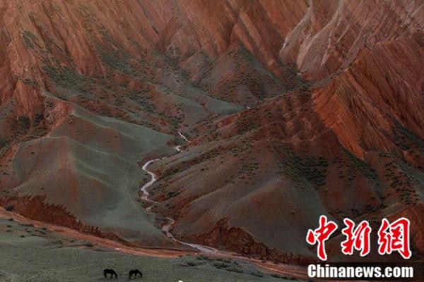 網(wǎng)易公布2024年第二季度財(cái)報(bào)