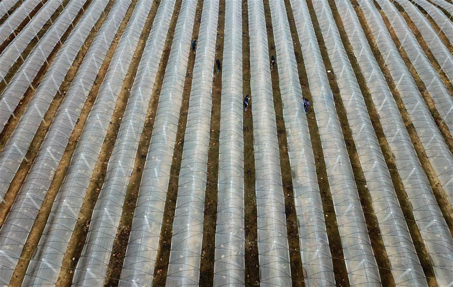 《情緒自由：走出職場(chǎng)情緒困境》別讓情緒掌控你的人生